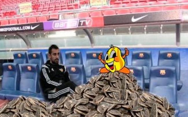Paco Alcacer