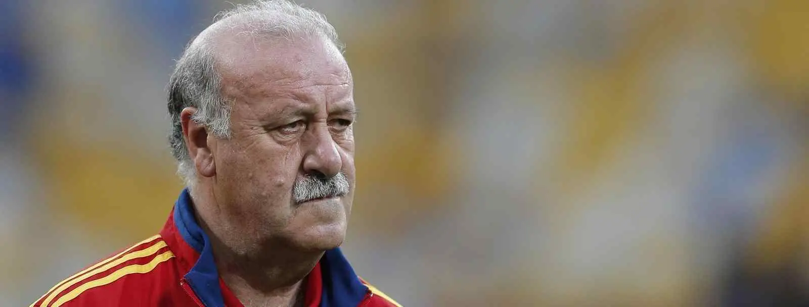 ¿Quién podría reemplazar a Vicente del Bosque al mando de la selección?