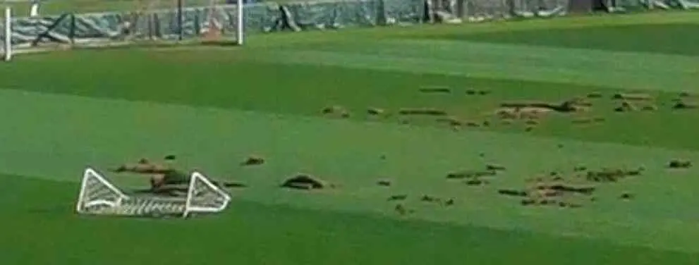 La última moda de una afición ultra: ¡Destrozar tu propio estadio!