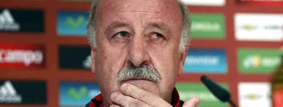 Vicente del Bosque designa a su sustituto en la Roja tras la Eurocopa 2016