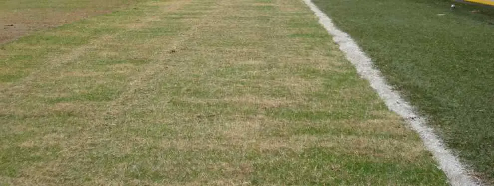 El Atlético vuelve a ser 