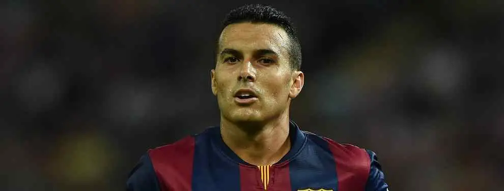 La historia -no contada- de Pedrito, al que mandaron de vuelta sólo llegar