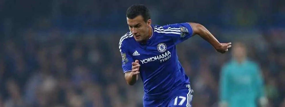 Los mensajes que están desmontando el sueño inglés del ex azulgrana Pedro