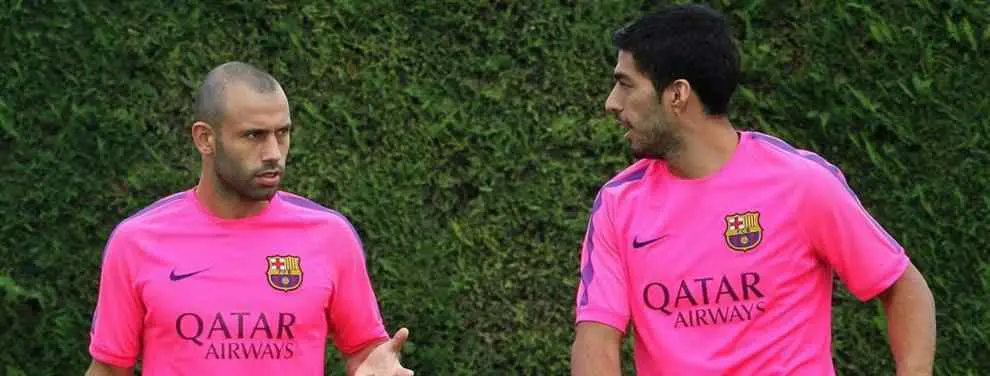 Mascherano se ofrece para salvar a Luis Suárez ante el Comité de Competición