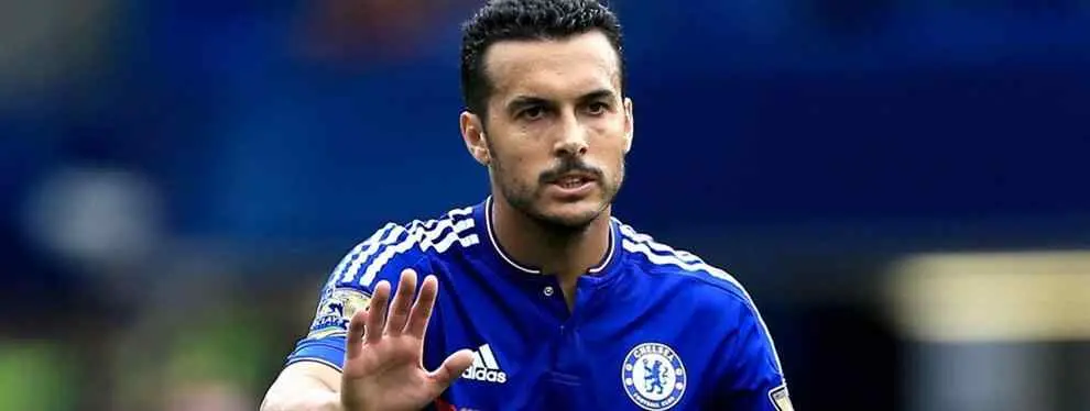¿Peligra la Euro? La (dura) historia de Pedro, preso en el Chelsea de Hiddink