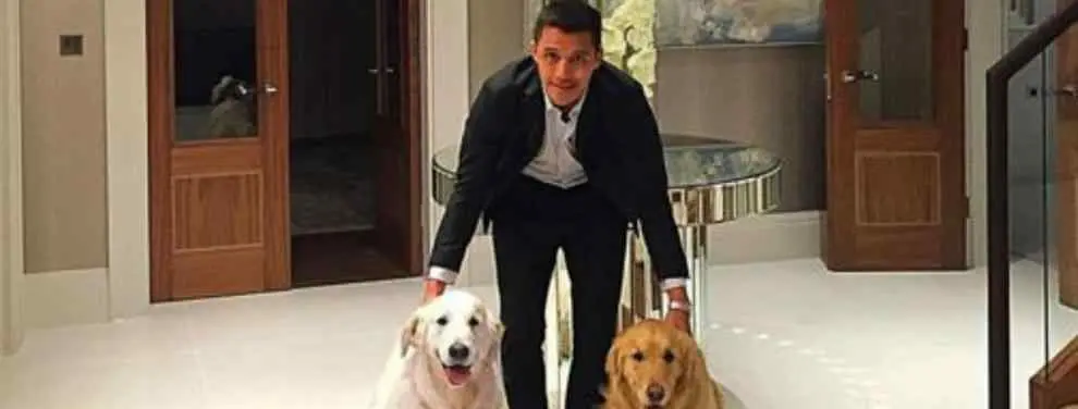 El vídeo de Alexis Sánchez con perros que está causando furor en Inglaterra