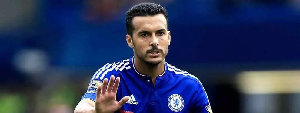 Pedro sí se arrepiente de haber fichado por el Chelsea y busca equipo en España