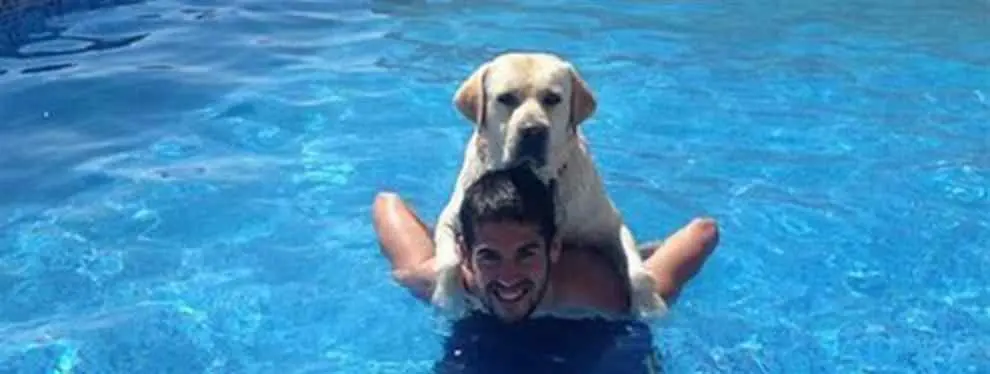Isco descubre su particular relación con su perro Messi