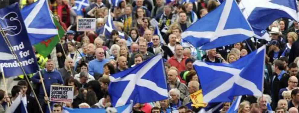 Las 10.000 banderas blanquiazules que sustituirán a las esteladas en el Calderón