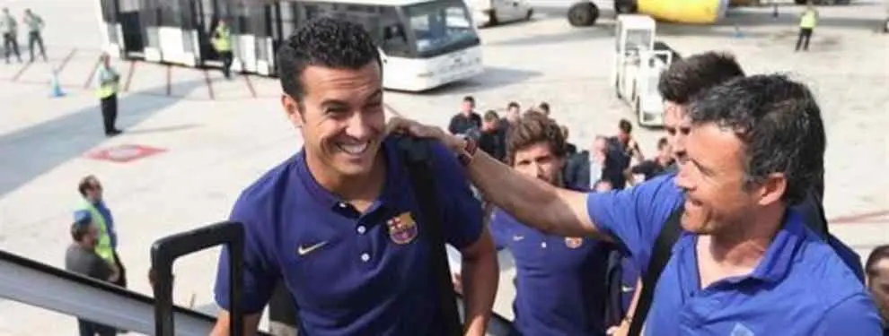 Pedro se ofrece a Luis Enrique como cuarto delantero del Barça