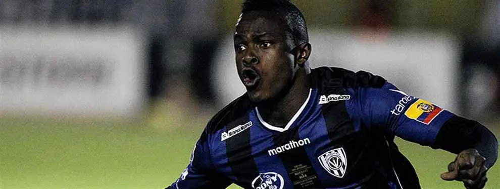 ¡José Angulo llega a la Liga! Esto es lo que esperan de él en Granada