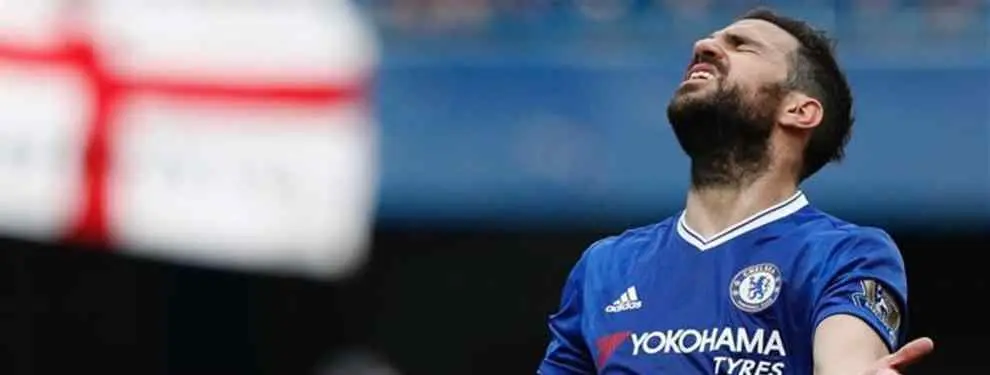 Los dos posibles fichajes del Chelsea para sustituir a Cesc Fàbregas