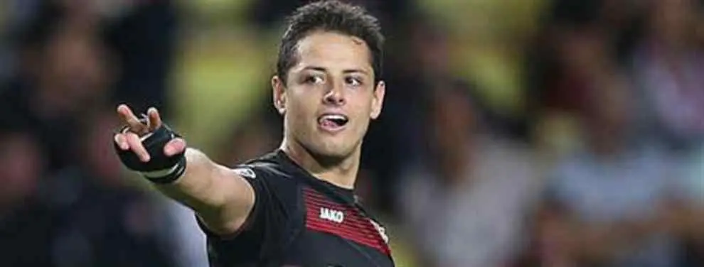 'Chicharito' Hernández no deja de destacar con el Bayer Leverkusen
