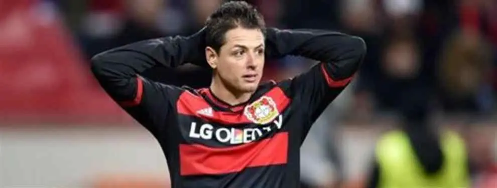 ¡En vilo! Chicharito quita el sueño a los dirigentes del Bayer Leverkusen