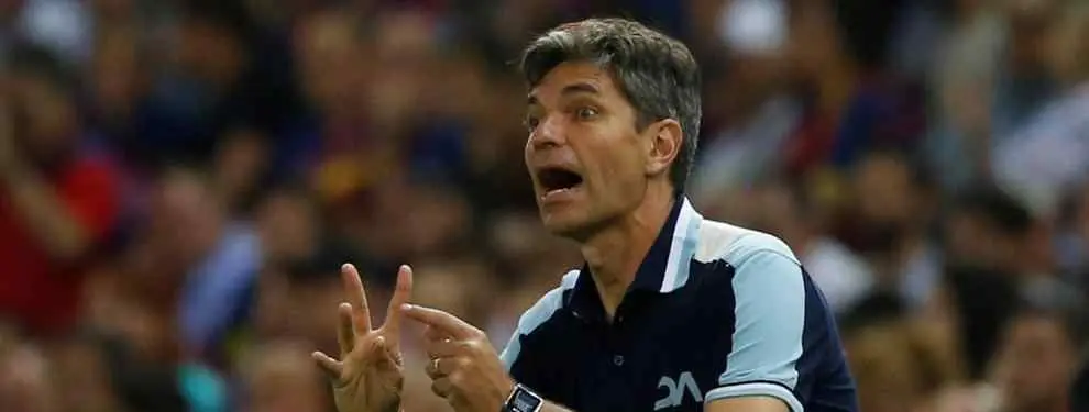 ¡Bombazo! Pellegrino deja el Alavés (y los dos candidatos argentinos a sucederle en el banquillo)