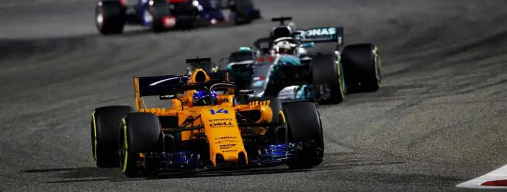 Honda se ríe de Fernando Alonso en su cara (¡Bestial rajada en Toro Rosso!)