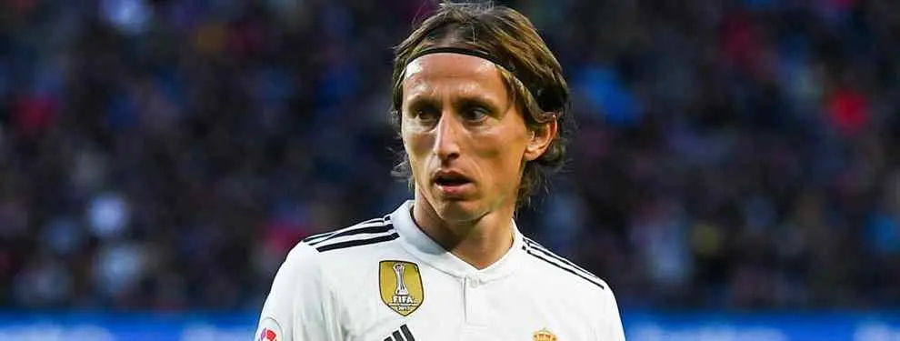 Modric tiene recambio en el Real Madrid: la apuesta de Florentino Pérez