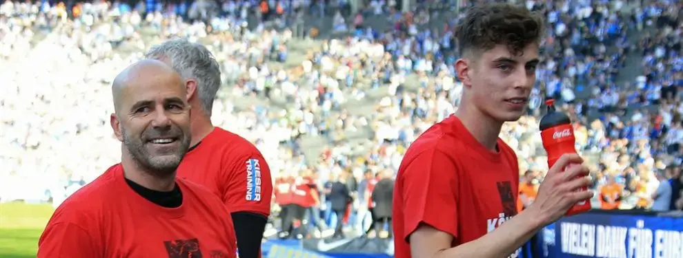 “Si lo queréis, vale más de 100 millones”. Pelea brutal por la perla