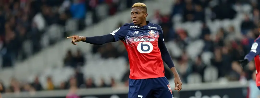 Osimhen está en el mercado: el Lille encuentra a su sustituto