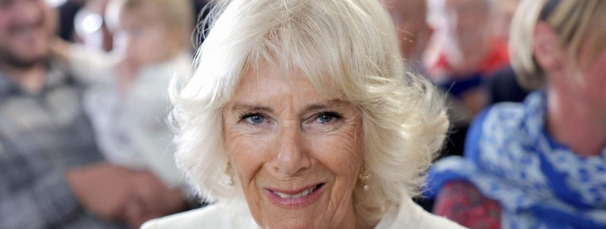 Masque De Découpe De Célébrité Camilla Bowles (Smile) - Multicolore - Neuf Sous Blister
