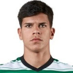 M. Espanha Fernandes